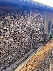 brennholz kaminholz stammholz - Bild 1 von 2