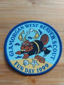 North East Region 2006 Time to Celebrate Cub Scout Badge - Picture 1 of 1