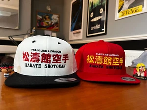 Street Fighter II Karate Dojo Gym Snapback Cap Ryu & Ken Shotokan Mütze Rev-Level - Bild 1 von 4