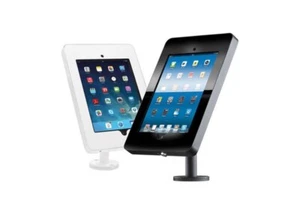 iPad Display Mount - Picture 1 of 1
