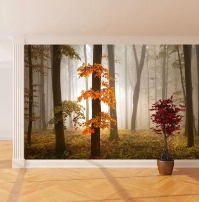 Papel Pintado Foto Pared Mural Foggy Otoño Bosque Naranja Árbol Grueso Hogar - Imagen 1 de 4