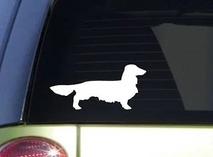 Longhaired Dachshund Sitcker *I855* 8.5 inch wide decal ˜ - Picture 1 of 1