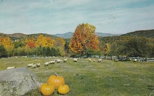 *Vermont Postcard-"Scenic View...Greetings From Brandon" - Picture 1 of 2