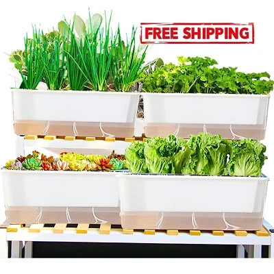 Macetas rectangulares transparentes con autorriego, modernas, paquete de 3, NUEVO Foto 1 de 4