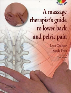 WITH DVD Massage Therapist's Guide Lower Back & Pelvic Pain (PB, 2007) VERY GOOD - Picture 1 of 5