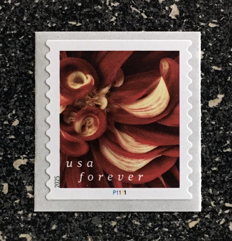 2025USA Forever Dahlias - Plate Number PNC Coil Single Mint - Image 1 of 1