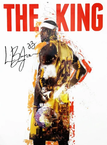 LeBron James Poster Cavaliers 23 King African American Sports History (18x24) Cover