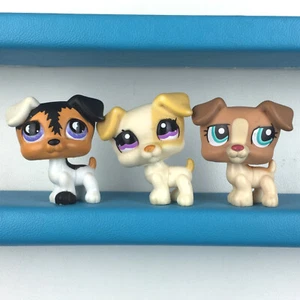 Lot 3 Littlest Pet Shop 803 1110 1302 Jack Russel Terrier Dog / LPS Set - Imagen 1 de 3