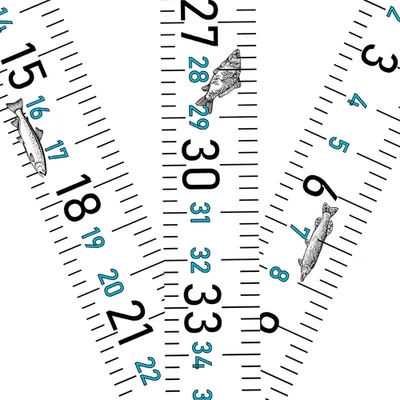 Cinta métrica impermeable 51" adhesiva para peces - Paquete de 3 para barcos y kayaks Foto 1 de 4