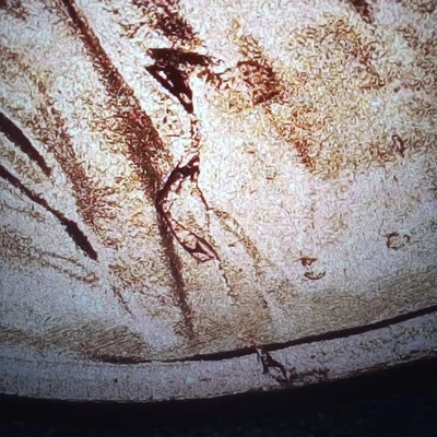 2025-P Lincoln Cent New Error Die Break/Gough Lapel To Rim From B/U Roll #5 - Image 1 of 3