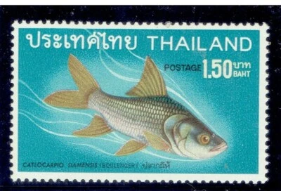 THAILAND 1968 Fish (Fauna) 1.50b - Image 1 of 2