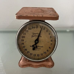 Vintage American Family Scale 25 lbs Farmhouse Kitchen Decor 1900’s Rustic - Picture 1 of 9