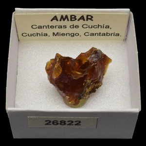 AMBAR (Canteras de Cuchia, Cuchia, Miengo, Cantabria, España) #26822 / Amber - Bild 1 von 1