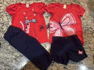 Gymboree Outlet Girls Size 4 Outfits Cat/Butterfly Capris/Shorts W/ Curlies - Picture 1 of 17