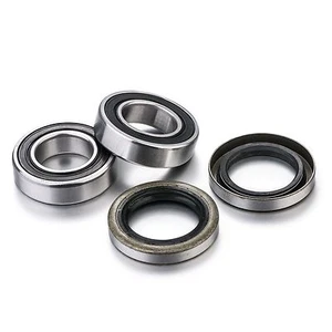 [FL] Kit de cojinete de rueda trasera para Beta - RR - RS - Xtrainer - Imagen 1 de 4