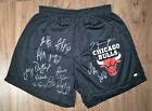 Autogramm CHICAGO BULLS Team 1995/1996 Michael Jordan Pippen Rodman NBA Signiert