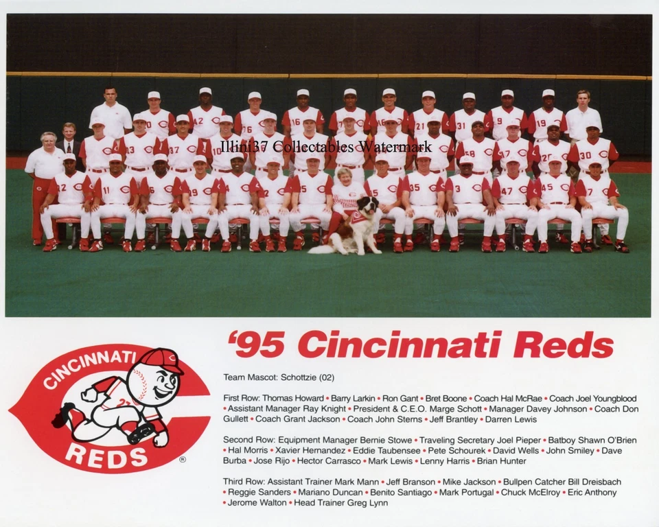 1995 CINCINNATI REDS BASEBALL TEAM 8X10 PHOTO - Image 1 of 1