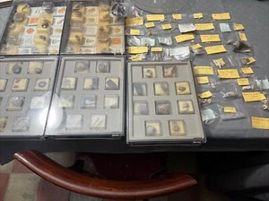 Lotto Collezione Fossili E Conchiglie 101 Pezzi - Imagen 1 de 3