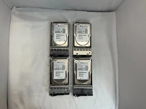 Lote de 4 discos duros IBM 2863-4004 FRU 23R2966 nSeries 300 GB 10K FC para EXN2000 EXN4000 - Imagen 1 de 3