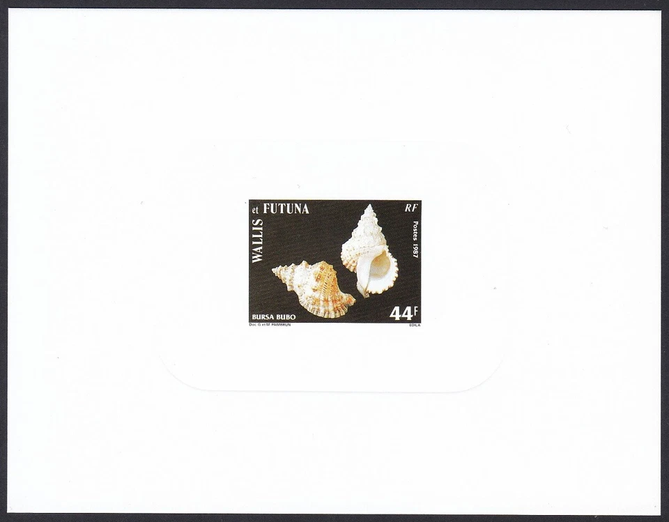 Wallis & Futuna Sc357 Seashell, Sea Snail, Bursa bubo, Deluxe Proof - Image 1 of 1