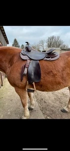 Westernsattel Breit - Bild 1 von 2