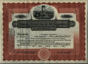 Certificado de acciones de Century Natural Gas & Oil Corporation - Imagen 1 de 1