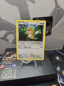 Pokémon TCG Patrat Black & White 78/114 Regular Common - Picture 1 of 2