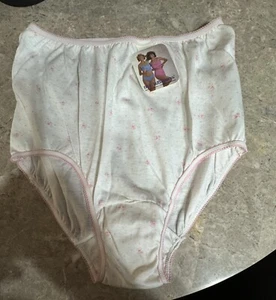 VINTAGE MS WATSONS GRANNY PANTY!   COTTON  / POLY.  XL.    PINK DESIGN.  TAG ON - Picture 1 of 4