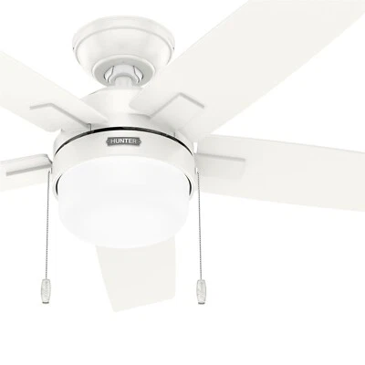 Hunter Fan 44 in Contemporary Fresh White Ceiling Fan with Light and Pull Chain - Image 1 of 4