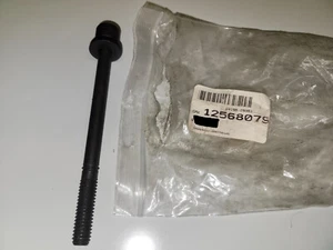 NEW Genuine GM OEM Cylinder Head Bolt Colorado Trailblazer H3 Canyon 12568079 - Picture 1 of 1