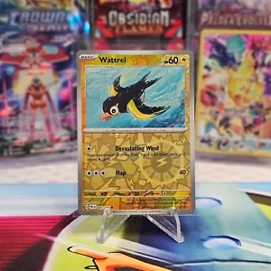 Wattrel - 081/193 - Paldea Evolved - Pokemon TCG - Reverse Holo - NM - Picture 1 of 2