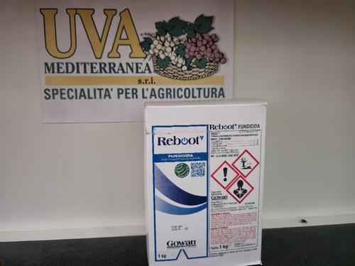 Foto 1 di 7