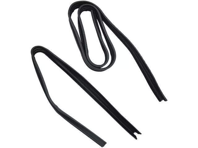 TRQ Door Window Glass Run Channel fits Dodge B200 Van 1971-1974 78STKY - Image 1 of 1