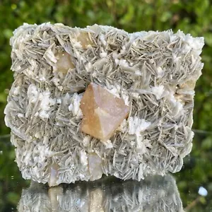 350g 9x7x5cm Orange Scheelite on Silver Muscovite from China by Locco Decor - Picture 1 of 6