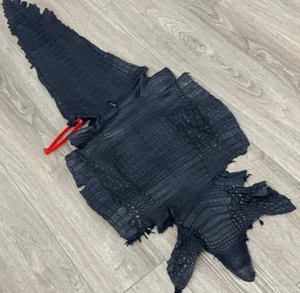 Blue Navy Genuine Caiman Crocodile belly Hide Leather Skin Gator Croc 550 - Picture 1 of 5