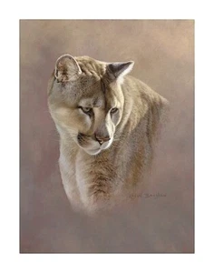 Watchful Eyes, Kalon Baughan, Wall Art Print Poster 14" x 11" 2054 - Picture 1 of 1