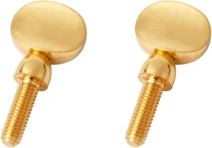 2pcs Saxophone Neck Screws, Heavy Golden Sax Screw 1.12 x 0.57 inch  - Picture 1 of 7