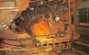 Pflückholzwerk, Standard, CA Tuolumne Co. Sägewerk um 1950 Vintage Postkarte - Bild 1 von 2
