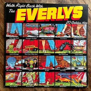 THE EVERLY BROTHERS - 20 GOLDEN HITS  EX(sleeve)/NEAR MINT VINYL LP - Imagen 1 de 12