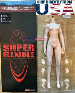 Phicen 1/6 Female Slender Shoulder M Bust Seamless PALE Body Steel Skeleton S16A - Bild 1 von 4