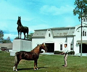 Morgan Horse Farm UoV Apprentice Weybridge Middlebury Vermont Vintage Postcard - Picture 1 of 3