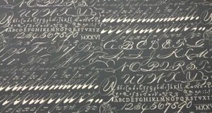 LACEFIELD DESIGNS PIZARRA GRIS ESCRITURA ALGODÓN PATO TELA POR YARDA 55"W - Imagen 1 de 5