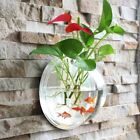 Acrylic Wall-Hanging Fish Bowl Transparent Hanging Betta Tank  Goldfish