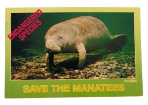 Vintage 1980s Save The Manatees Florida Postcard Endangered Species - Picture 1 of 4