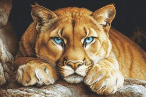 Kit de punto de cruz The Wild Spirit ~ Luca S DORADO - Imagen 1 de 1