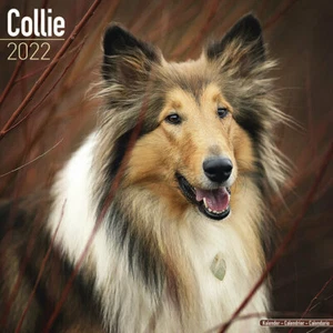 Kalender 2022 - COLLEY - Bild 1 von 2