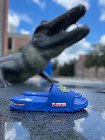 UNIVERSITY OF FLORIDA AIR GATORS SLIDES Cover