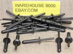 25 remaches ciegos de nailon Auveco 13750 para GM-14063981 Ford-N803043-S Chry-6500911 - Imagen 1 de 4