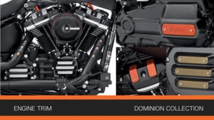 Genuine Harley Davidson, SOFTAIL, DYNA, TOURING, 2007 Up, Dominion ,Large Insert - Picture 1 of 10