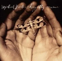 Dragonfly Summer von Franks,Michael | CD | Zustand gut - Bild 1 von 2